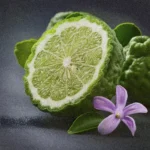 BERGAMOTA CUERO